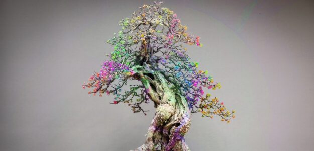 Texas Bonsai Store