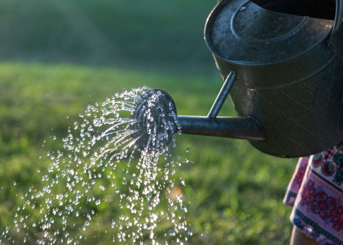Watering can with sprinkler head pouring water