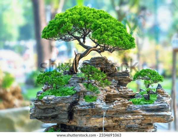 p1 Test Tree-1 - Image 1