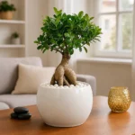 Test Tree-1 - Image 3